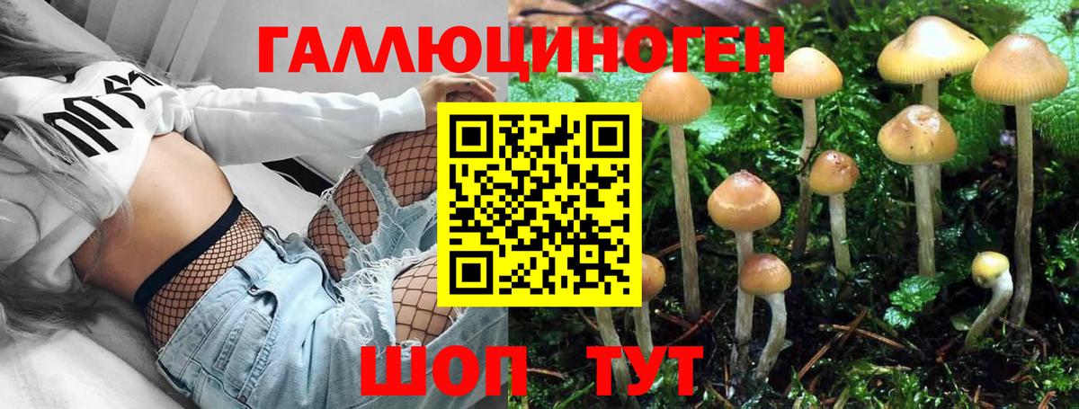 наркошоп  Псилоцибиновые грибы MAGIC MUSHROOMS  Майкоп  Вход с VPN  Галлюциногенные грибы Psilocybe 